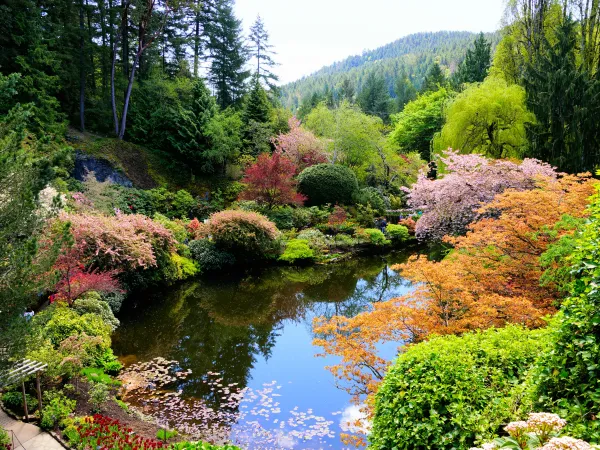 Butchart Gardens