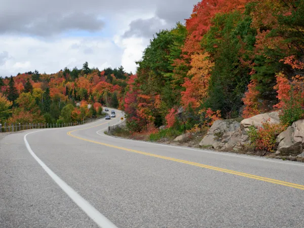Highway Fall Foliage